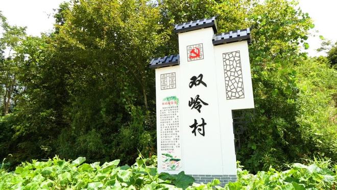 《贵池答卷》第二季 第二篇：产业集开云 开云体育聚追梦振兴路(图6)