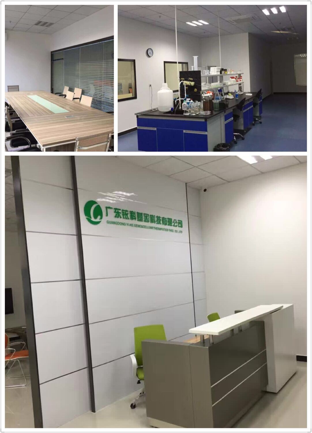 一招聘岗位来袭要找工作的亲赶紧开云体育 开云平台看！(图2)