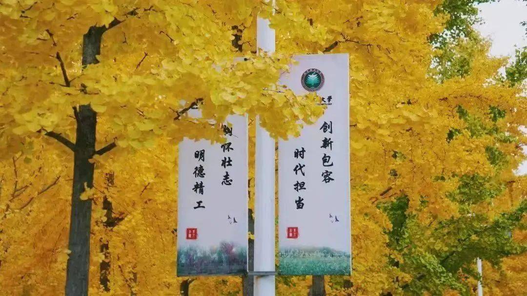 开云 开云体育官网北京理工大学机电学院诚邀海外人才依托申报海外优青-智归科创中心