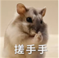 集合竞价散户也能抓涨停？！后悔自己知道晚了！开云体育 开云平台