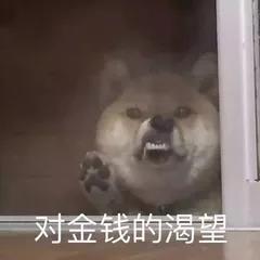开云 开云体育官网短线买股总是被坑?因为你根本没有选对股!
