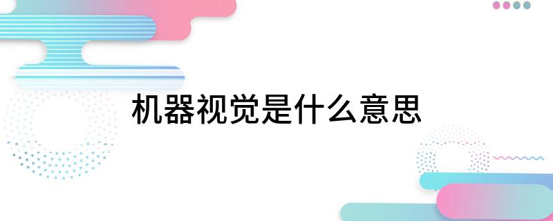 开云 开云体育官网机器视觉是什么意思