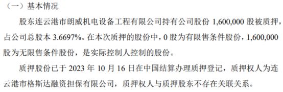 开云 开云体育平台盛世节能股东质押160万股 用于为子公司融资担保提供反担保