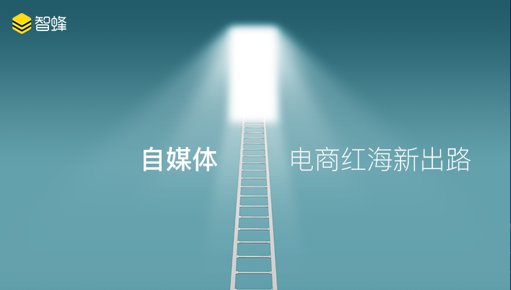 智蜂：突破自媒体红海市场实现流量变现Kaiyun 开云体育