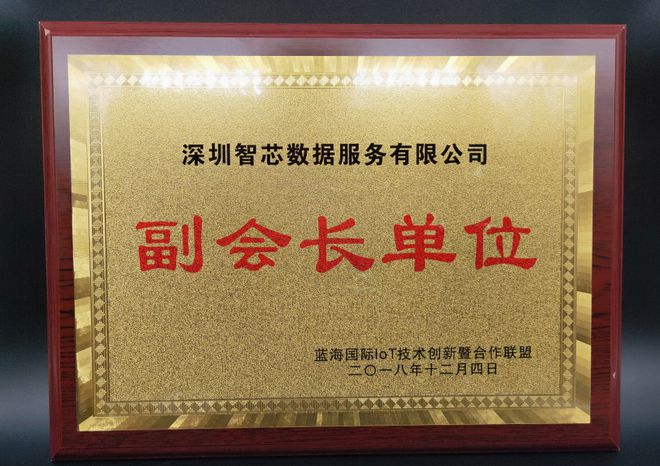 智芯数据出任蓝海开云 开云体育平台国际物联网技术创新暨合作联盟副会长单位(图5)