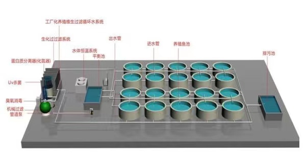 【智惠农民】水产业效率变革的“双引擎”:科技开云体育 Kaiyun.com 官网入口强农、机械强农“双强行动”